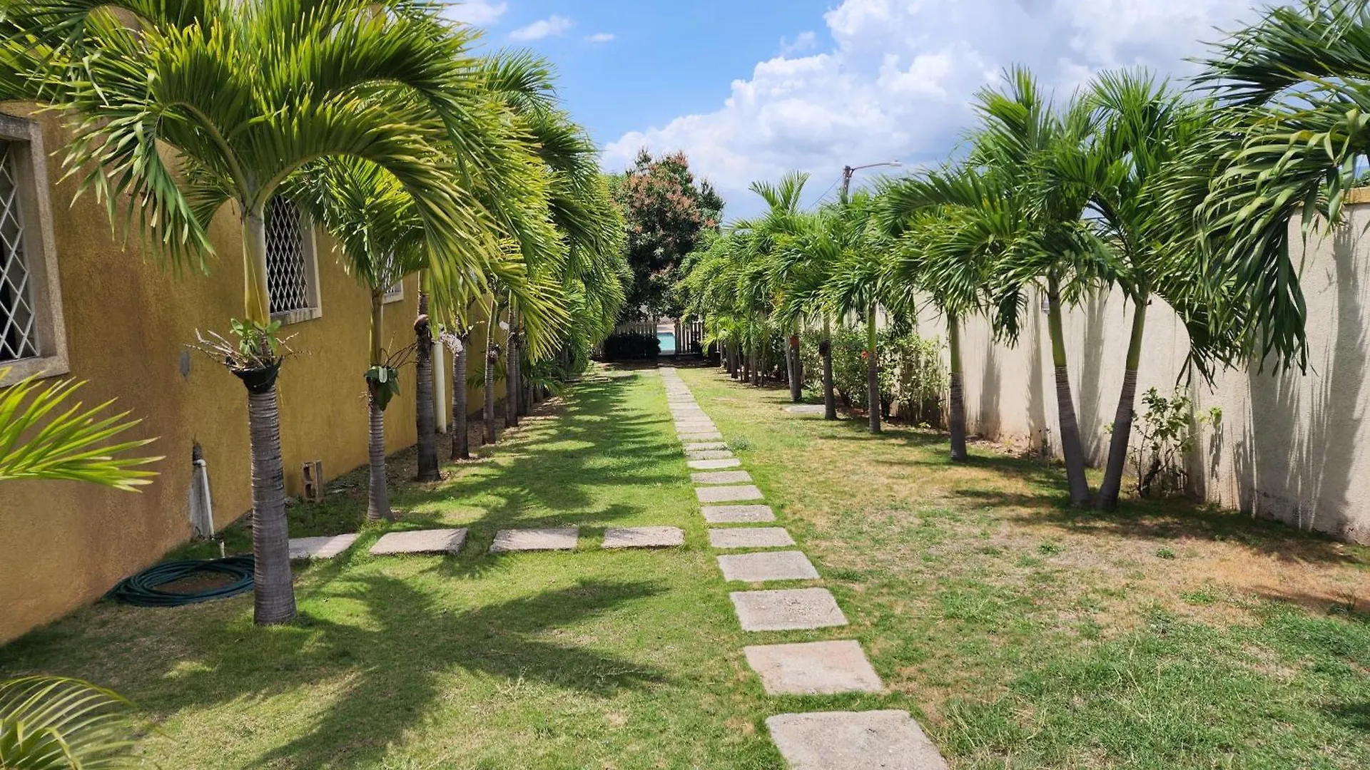 Sweet Oasis Bed & Breakfast Kingston 0*,  Jamaica